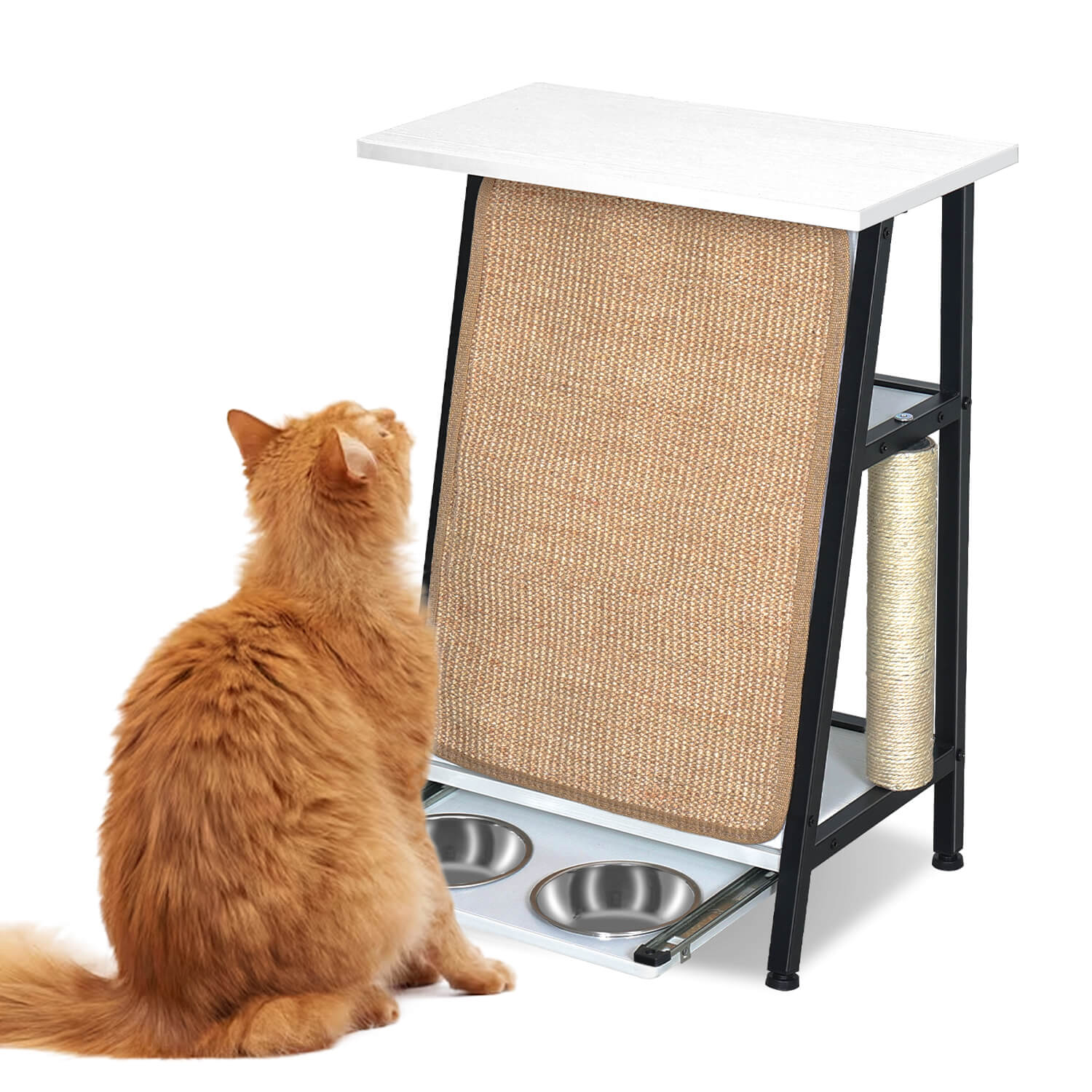 Cat feeding table best sale