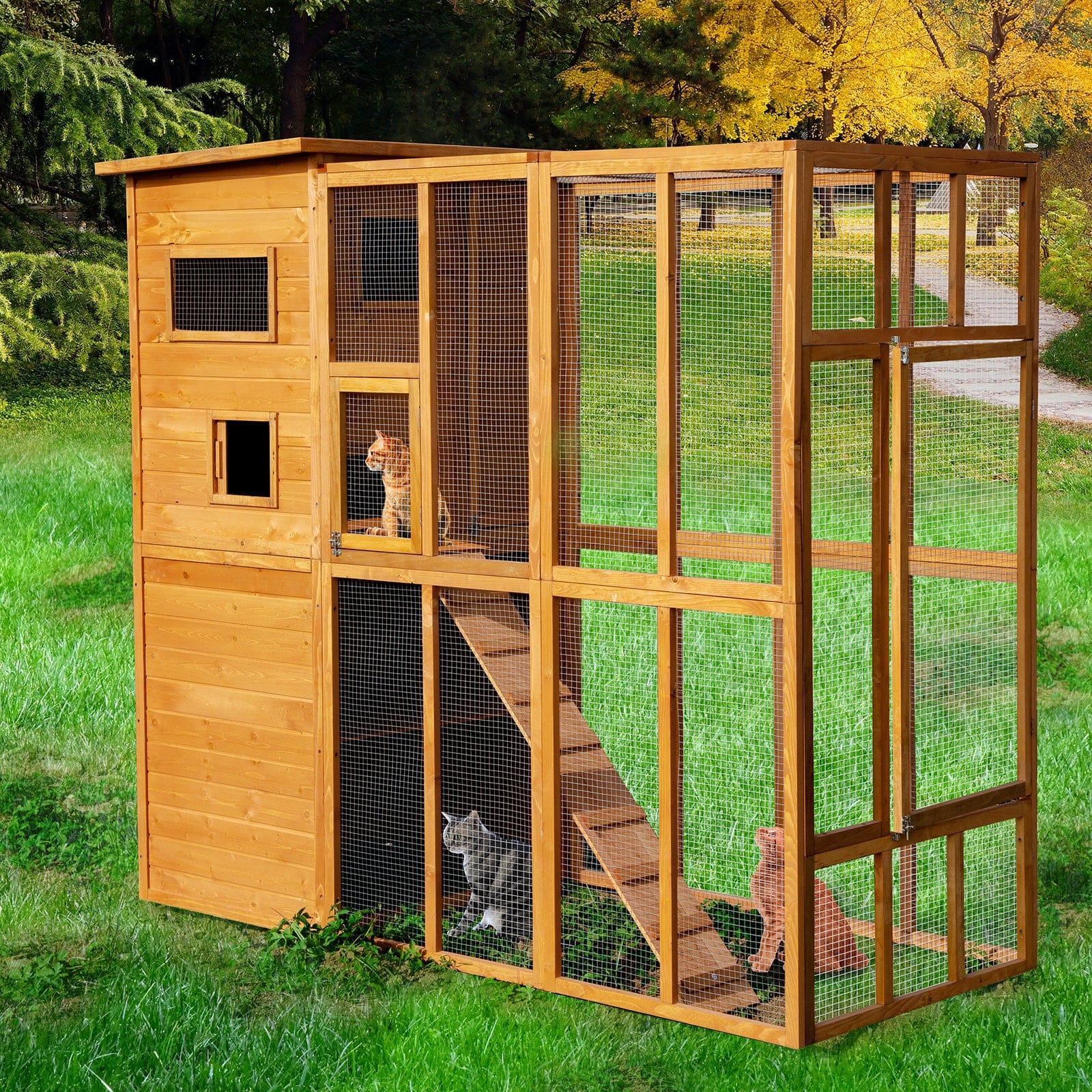 Chicken coop hotsell cat enclosure